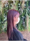 ラベンダーピンク