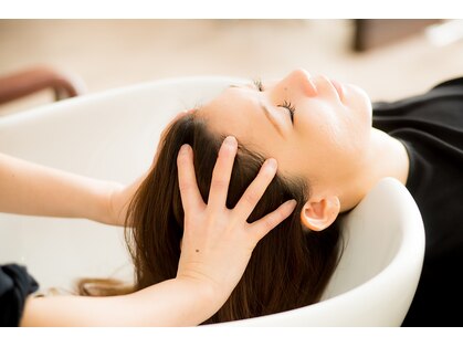 ヘアーマテリアル(Hair material)の写真