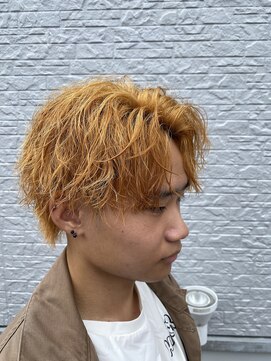 アクイール イストワール(Accueillir Histoire) 波巻きツイスパ