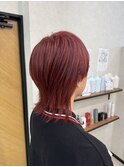ウルフカット レッドカラー