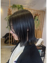 カヴェリ(kaveri)&nbsp;10センチカット