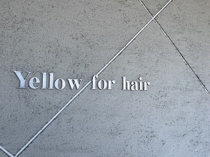 イエロー フォー ヘアー(Yellow for hair)の写真