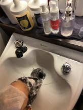 【定着剤後流し→トリートメント】
