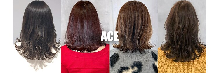 エース(ACE)のサロンヘッダー