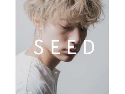 シード(SEED)の写真