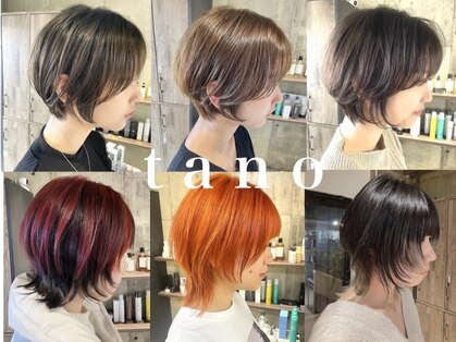 タノ(tano)の写真