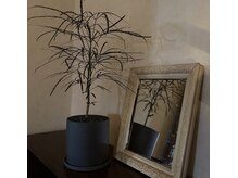 レトロポット(retropot)の雰囲気（アンティーク家具と緑が落ち着く癒し空間。）