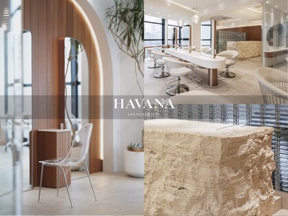 イルハバナ 渋谷(ill HAVANA)の写真