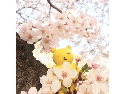 季節を感じられるような、可愛い黄ぐまくんの写真☆