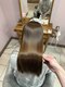 フィガロ デュデュ 新石切店(Figaro DOU DOU)の写真/【髪質改善×大人女性】加齢によるうねり・パサつきを根本ケア！過去最高の艶と潤い溢れる美髪へ導きます