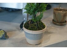 美容室 キムラの雰囲気（育つ　植物。）