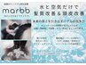 カット+透明感カラー+髪質改善３STEPトリートメント+【marbb】orクイックスパ