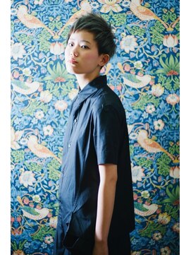 ザップ(ZAP) SHORT モード Dr.カラー&コンビネーションカラー