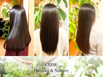 自然派美容室Hair Therapy EBISU