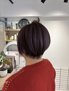 ラソニシカサイ(Lazo nishikasai) ラベンダーアンブレラカラーショート