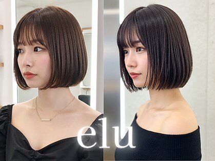 エル 新小岩(elu)の写真