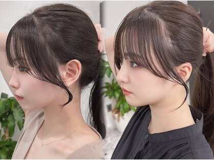 イーラ(era)の写真
