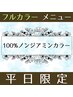 【平日限定】１００％ノンジアミンカラー♪(全体カラー)　￥6900