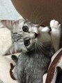 パース(PARS)&nbsp;動物大好き。特に猫が大・大好き。