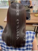 黒髪/ボブルフ/ネビージュ/小顔/ワンレン/銀座/髪質改善/前髪