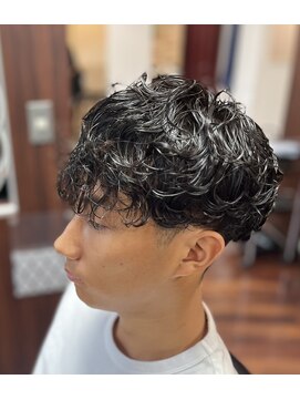 グルーミングサロンスカイ 小岩南口店 (Grooming Salon SKY) スペインカール初心者編