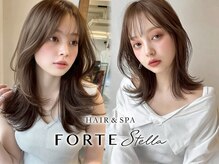 フォルテステラ(FORTE STELLA)