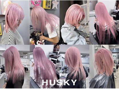 ハスキー(HUSKY)の写真