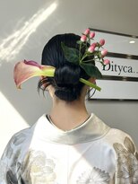 ディティカ サウ(Dityca sow) タイトリボンカチモリ