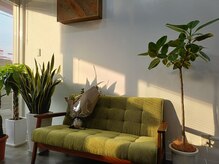 緑を基調にした店内、シンプルで落ち着く空間に…