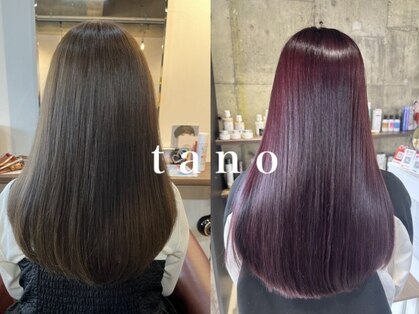 タノ(tano)の写真