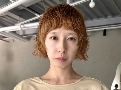 シロ(Shiro)の写真
