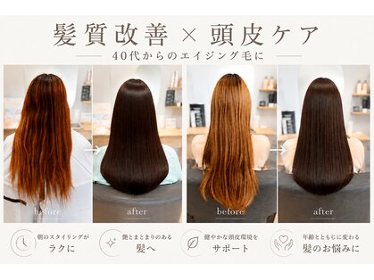 エン(en)の写真