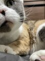 ステキナコト 日野(sutekinakoto) 家にいるおつゆさんです