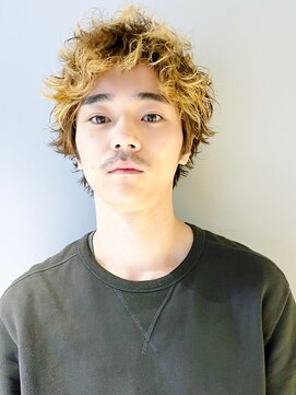 サル 代官山(SAL) 【SAL】ライオン三毛ヘア