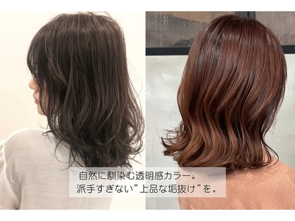 ラテ ヘア リリィ(latte hair lily)の写真