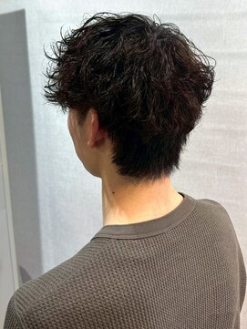 ノッポサン(Noppo3) ツイスパ メンズパーマ 黒髪 爽やかショート カジュアル 20代