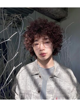 ランド(LAND) poodle perm