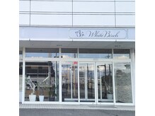 ホワイトバーチ(white birch)