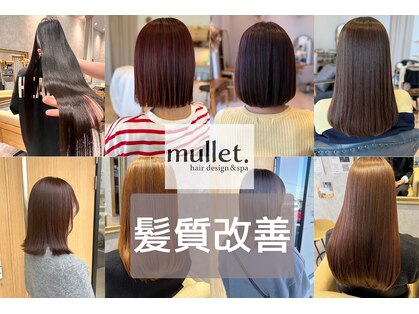マレット(mullet.)の写真