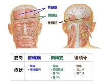 ☆話題の【筋膜リリースヘッドスパ】を徹底解析☆