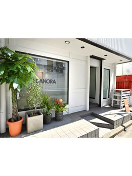 30－40代から気になるファーストグレイカラーを”CANORA”が艶やかに仕上げます♪