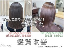 プルーナ(Pluna.)