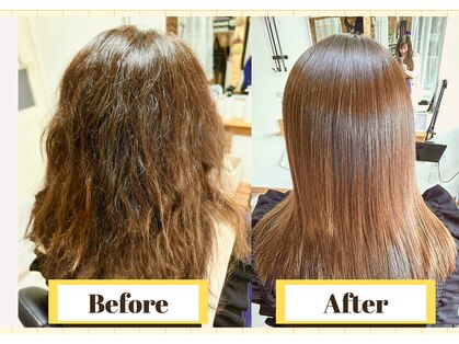 エディー(EDYH)の写真