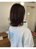 ミディアムレイヤー