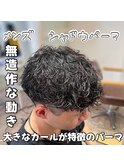 メンズ　シャドウパーマ