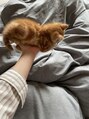 ラフィネ 成増店(raffine)&nbsp;ねこ大好きです♪実家で3匹飼っています(*^^*)