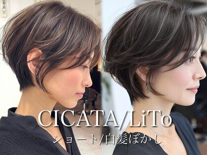 シカタリト 鎌倉(CICATA LiTo)の写真