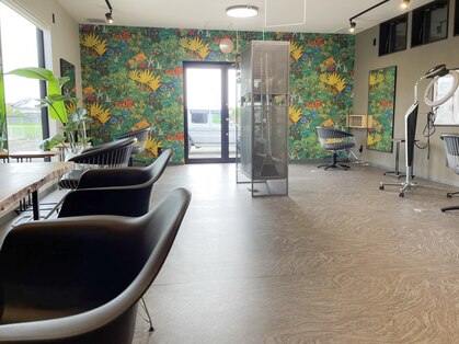 カエナ(kaena)の写真