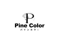 Pine Color【パインカラー】