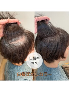 ザリカル(THE RECAL.) 【THE RECAL.】オリジナル☆白髪ぼかしカラー